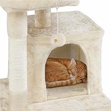 Cat Tree