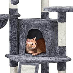 cat tree
