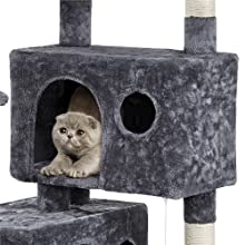 cat tree