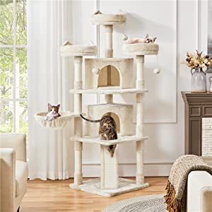 Cat Tree
