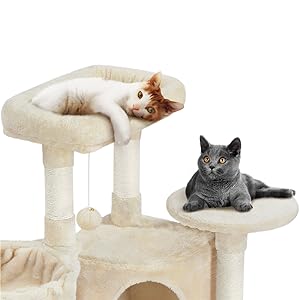 Cat Tree
