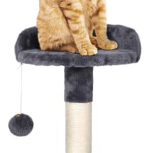 cat tree
