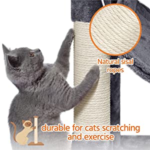 cat tree