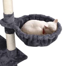 cat tree