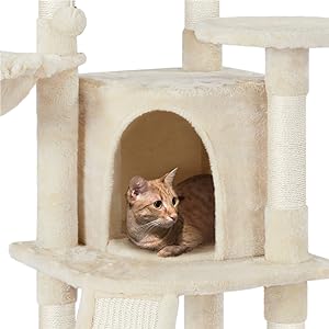 Cat Tree