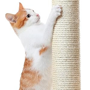 Cat Tree Tower
