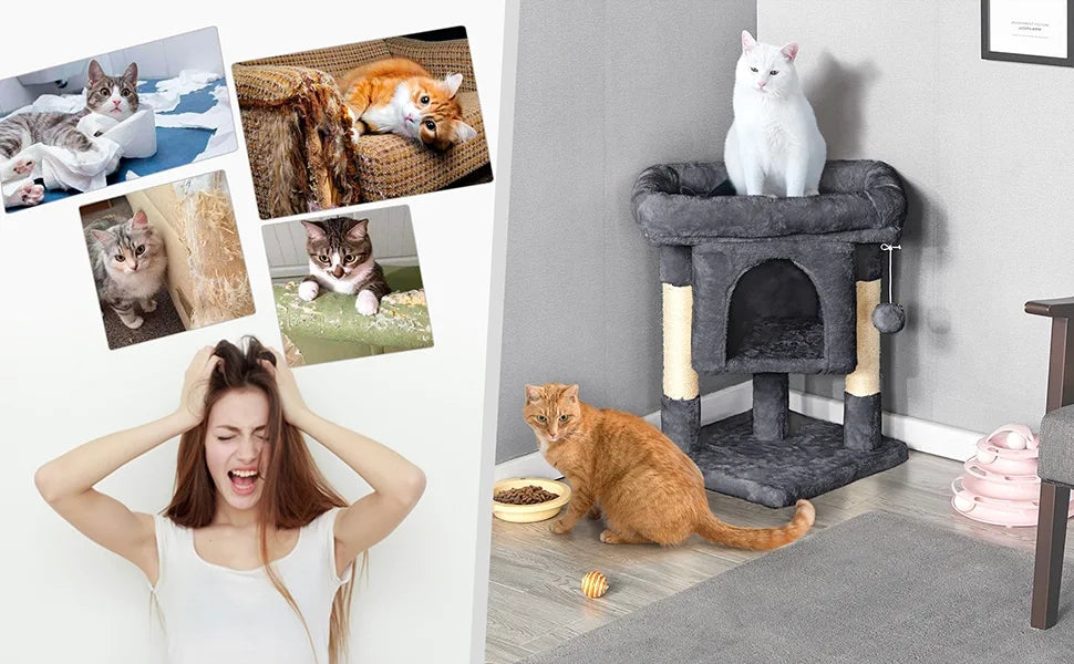 cat tree