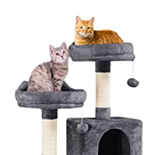 cat tree