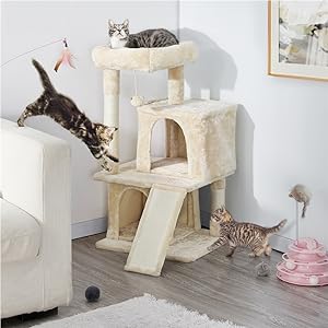 Cat Tree