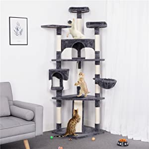 cat tree