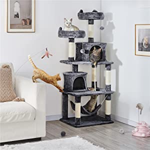 cat tree