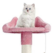 Cat Tree
