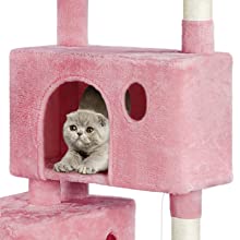 Cat Tree