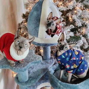 Yaheetech 45.5in Ocean-Themed Cat Tree Multi-Level Cat Tower