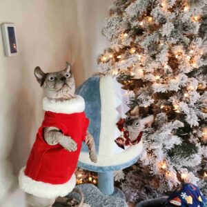 Yaheetech 45.5in Ocean-Themed Cat Tree Multi-Level Cat Tower