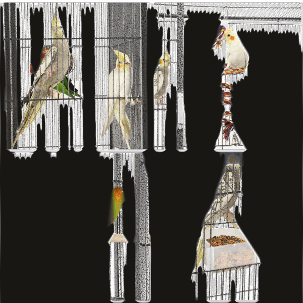 Yaheetech Large Bird Cage 69 Inch